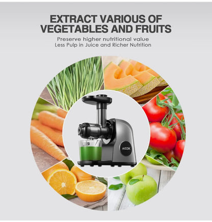 Masticating Juicer Machines